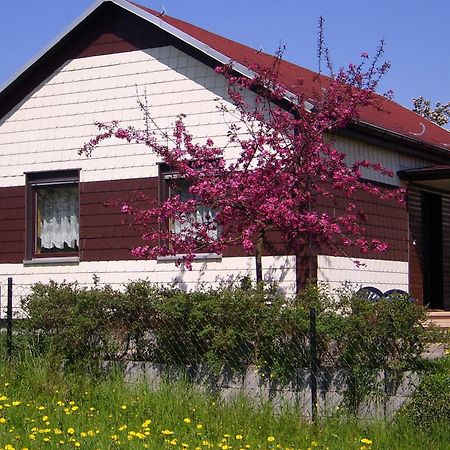 Villa Waldblick Waltershausen Esterno foto